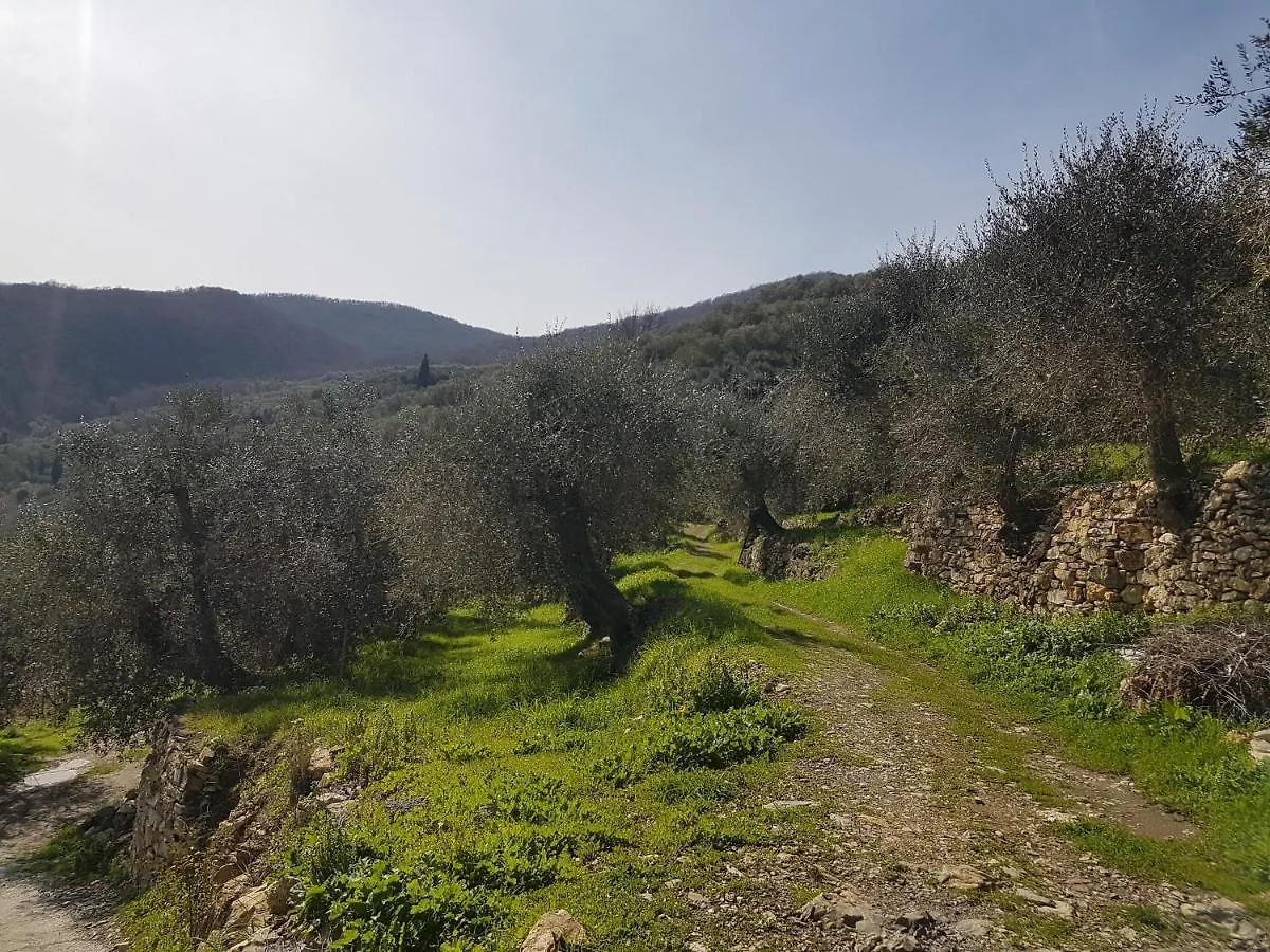 Apartment Immerso Nel Verde Chiusavecchia Italien